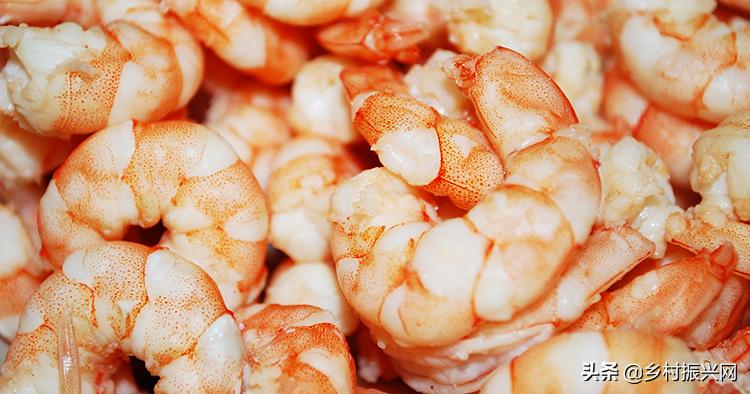 昆虫薯片,昆虫零食香辣