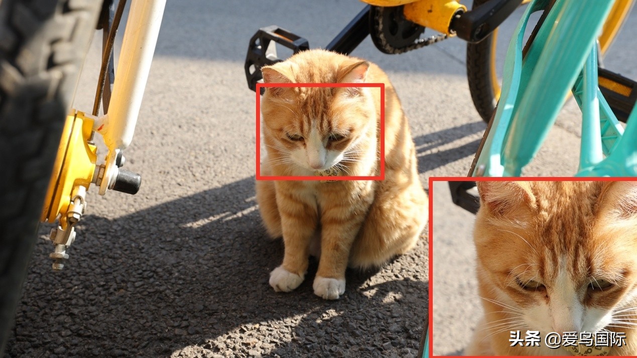 佳能eosr6详细参数曝光诚意满满,佳能发布新eosr6全画幅相机