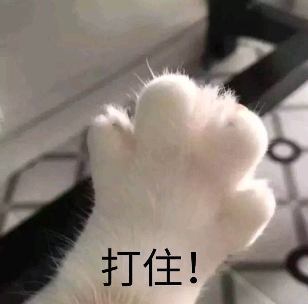 表情包大全可爱简单,可爱表情包我就是个不争气的东西