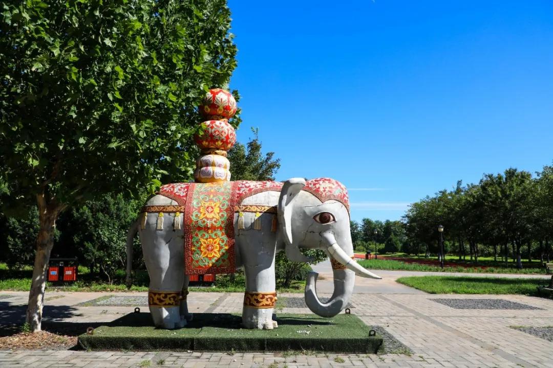 北京人少景美赏秋的公园,北京赏秋中山公园