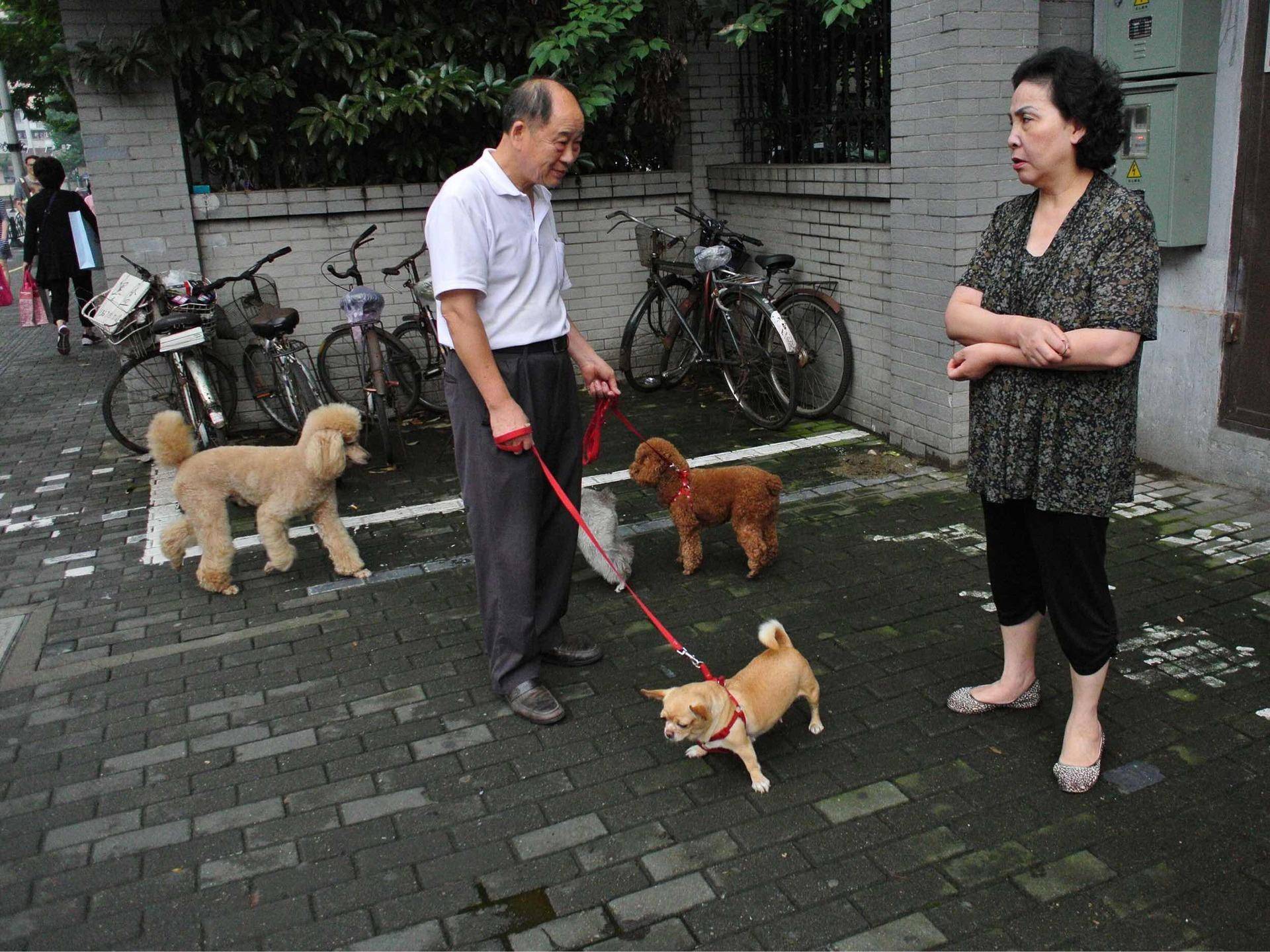 对于婆婆不带孩子儿媳应该怎么做,婆婆不给带孩子该不该要钱