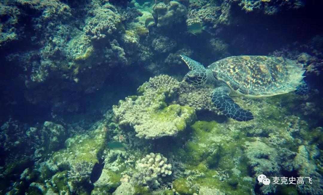 2000元玩马尔代夫,冷门又便宜马尔代夫