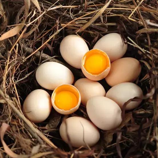 我为家乡代言||五彩玉林好风物，秒杀惊喜送不停