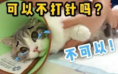 记录妇产科的真实生活,妇产科手术真实案例