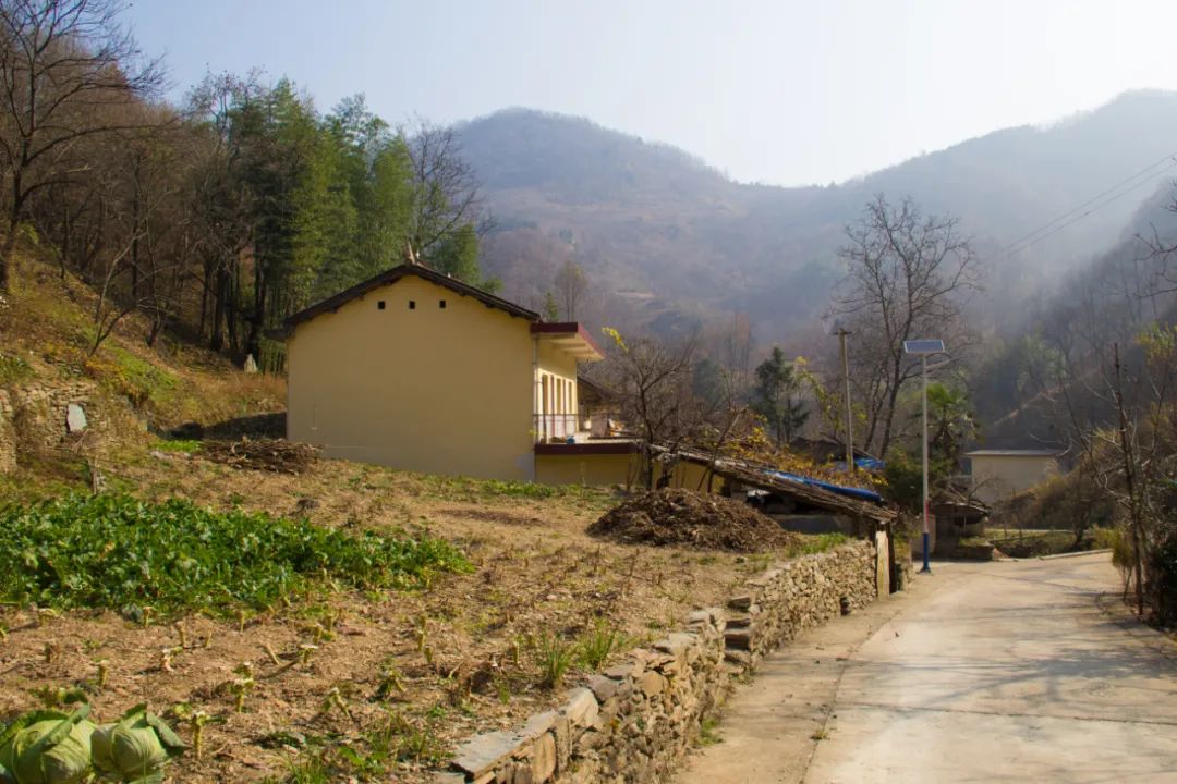 寻访秦岭龙潭村，背篓都是背在背上，这位大婶为何将其挎在腰间？