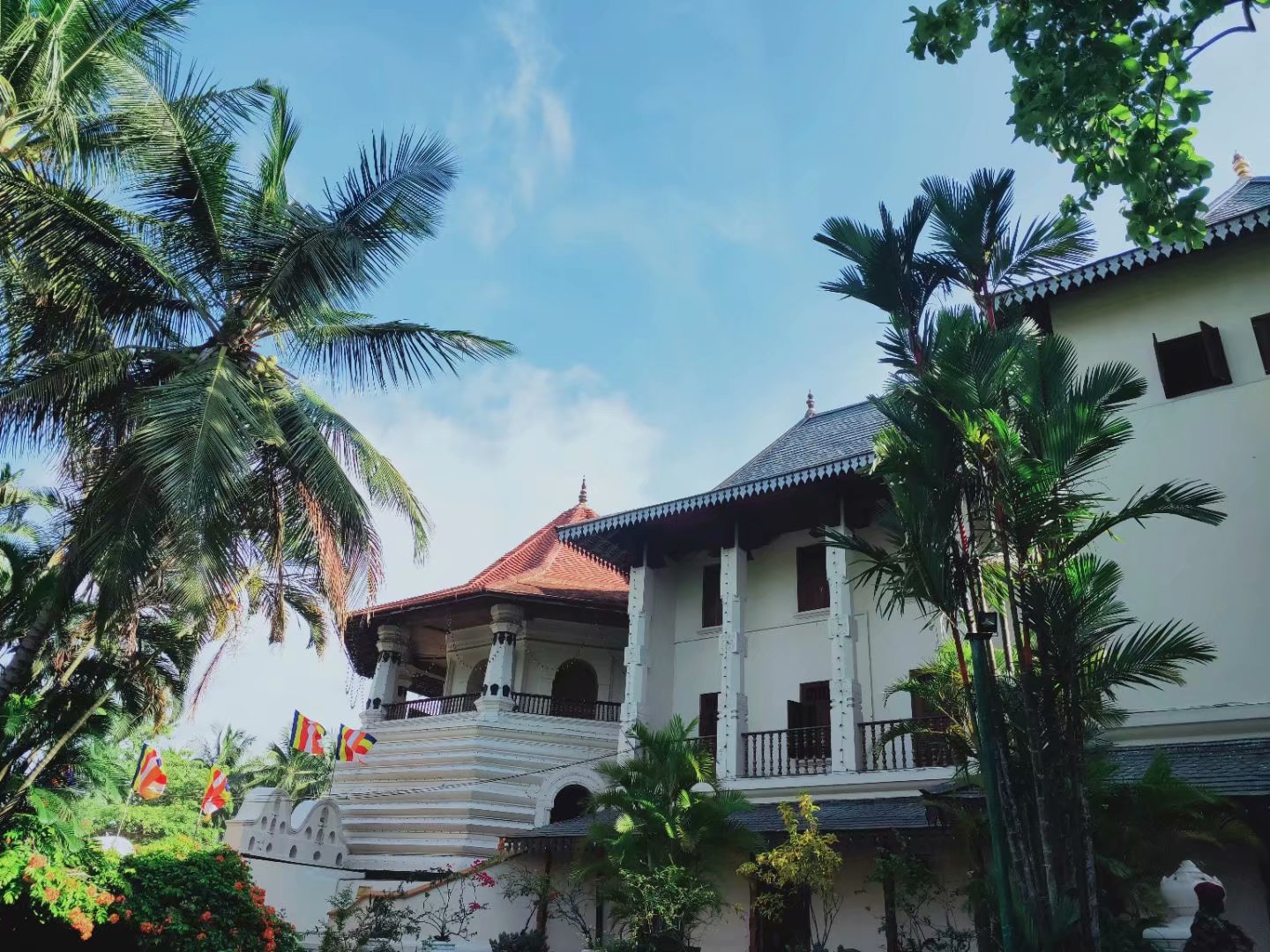 一生必去一次的神奇国度，榴莲白菜价，还有千与千寻里的海上火车