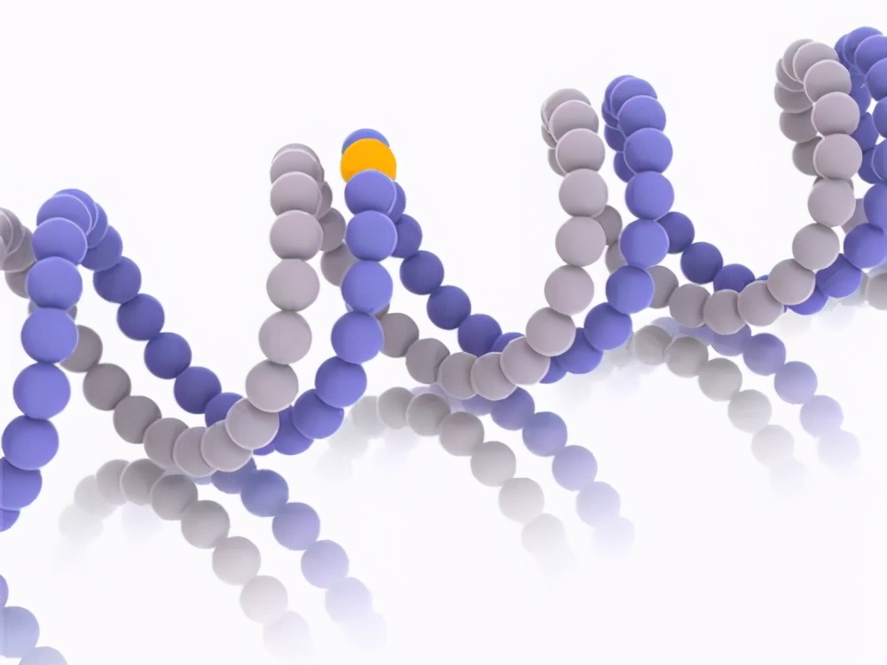 结节性硬化症引起基因突变的因素,结节性硬化症基因突变图片