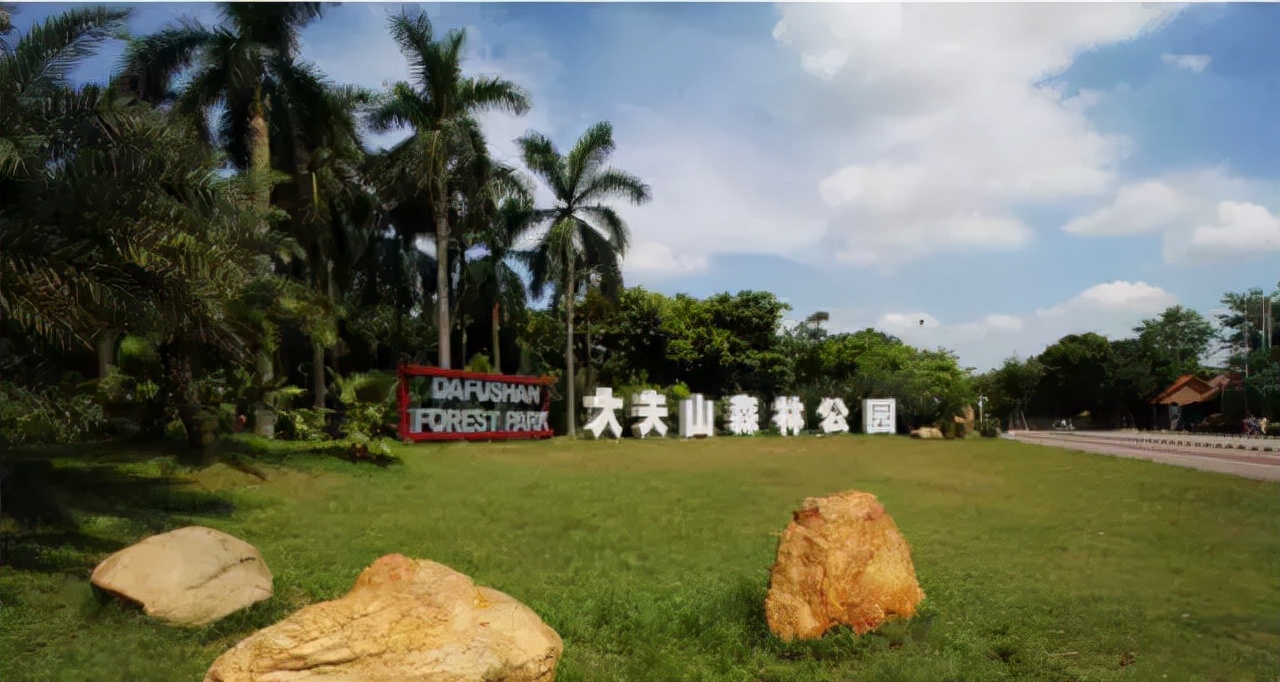 广州吃海鲜最便宜的地方2018年,广州的海鲜哪里又新鲜又便宜