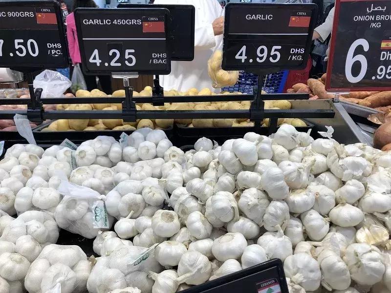 在迪拜生活的有多好,在迪拜普通人打工生活消费高吗