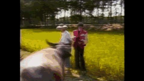 30多年前迈克尔杰克逊来中国,迈克尔杰克逊第一次去中国农村