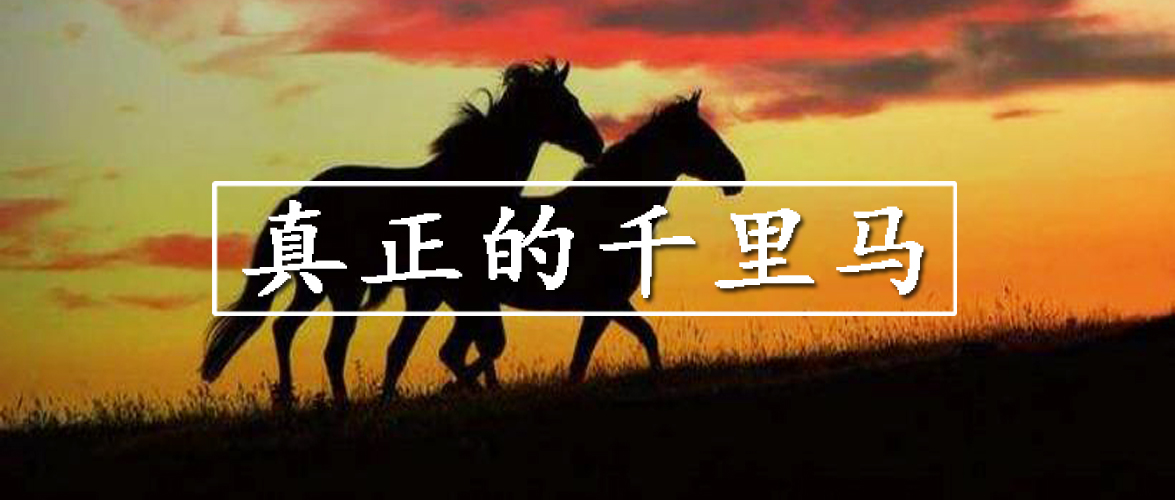 哪些行业比较适合长期投资,哪些行业基金值得我们长期投资