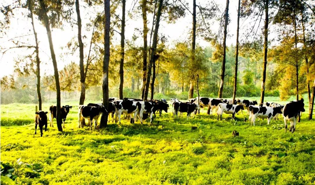 全国最宝藏的省,中国宝藏最多的省份