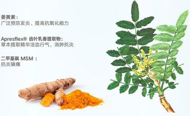 原装进口氨基葡萄糖,氨基葡萄糖进口都有什么牌子