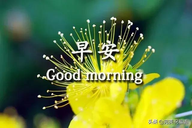 早安手机短信,发给朋友早上好短信