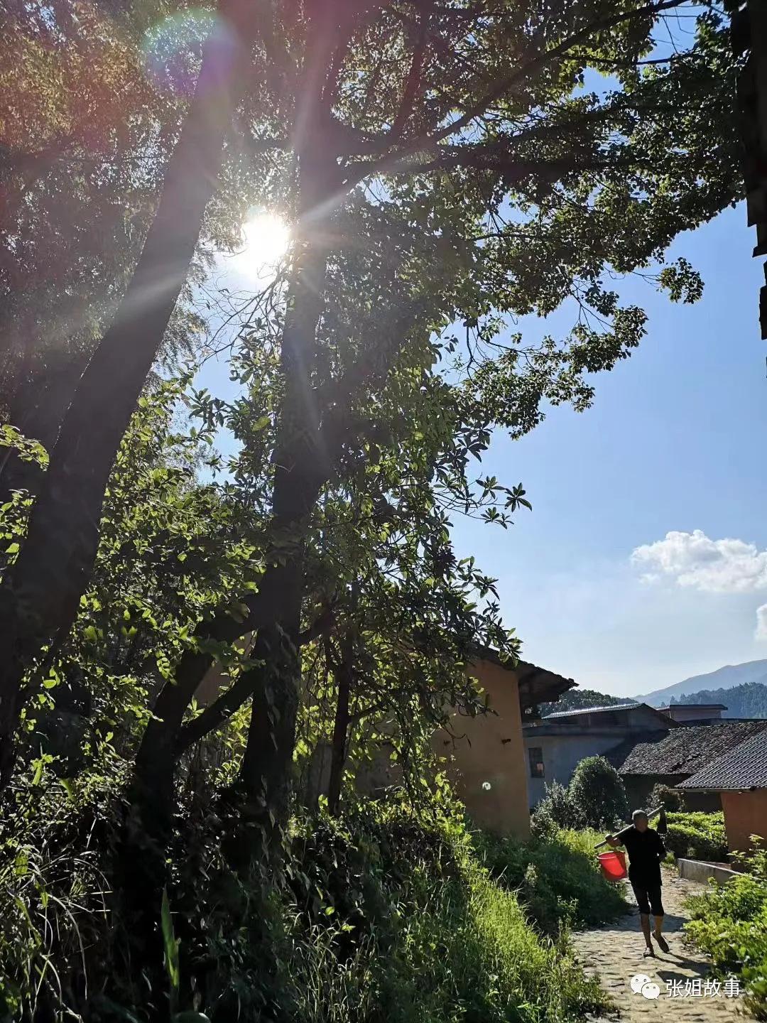 为什么温汤镇很多上海人,上海人在温汤镇