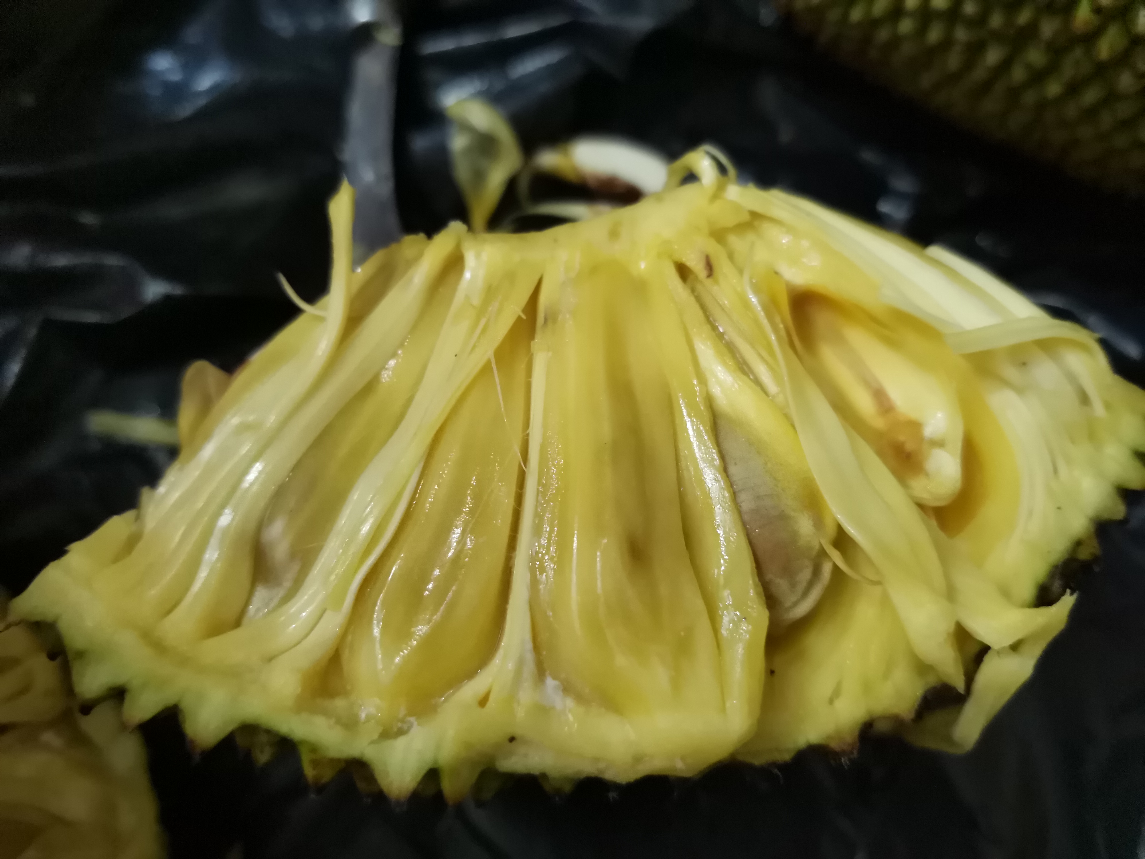 海南菠萝蜜怎么挑选出熟没熟,如何挑选好吃的菠萝蜜视频