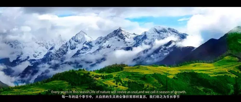 摄影照片每一个细节都很清晰,摄影后期有哪些风格照片