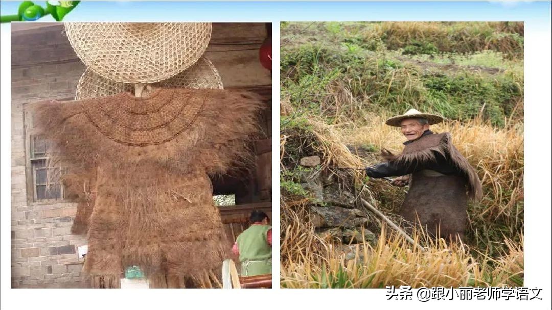 部编版五年级上册语文园地二图片,部编版语文五年级语文园地三讲解