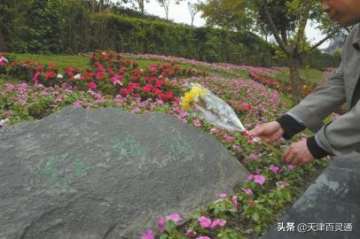 来聊聊天津丧葬习俗：近年有大变化，有种殡葬方式政府还会发补贴