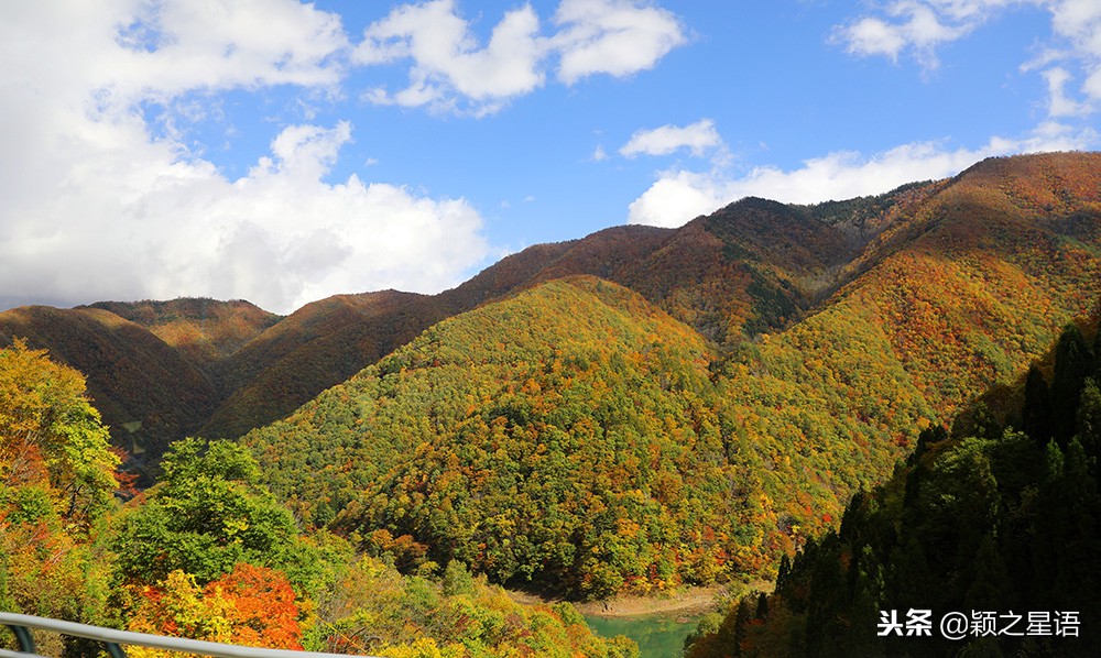 日本锅和德国锅哪个好,日本上万的锅