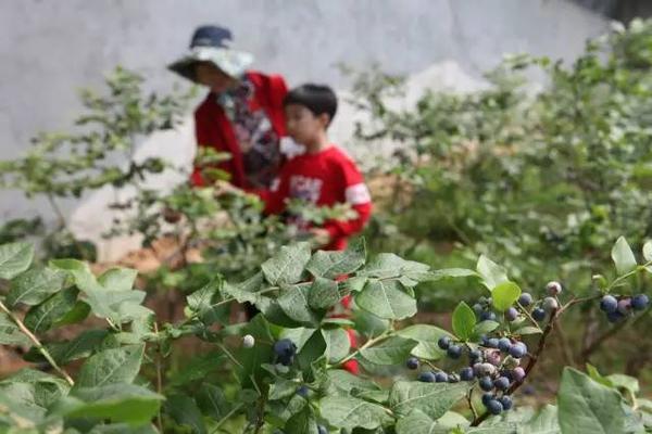 从淄博到日照旅游详细路线是什么,济南淄博潍坊烟台威海青岛日照