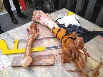 一个人在边境“河口”火车站边，遇假藏民售卖虎鞭、泡制方法