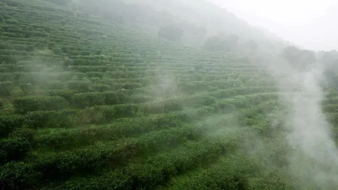 桂宿通,桂宿通银卡最新房源汇总