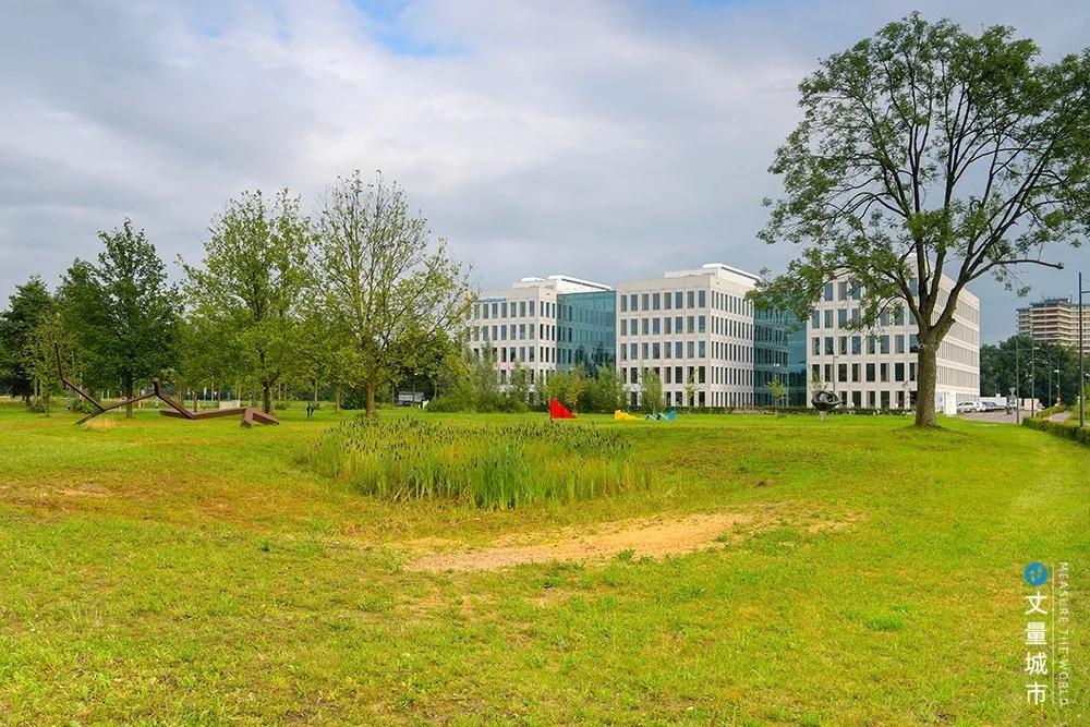 5.16国际牛奶日,每天一杯牛奶强壮中国人