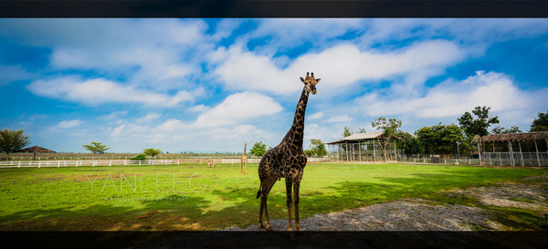 深度玩转泰国攻略,泰国游国际漫游