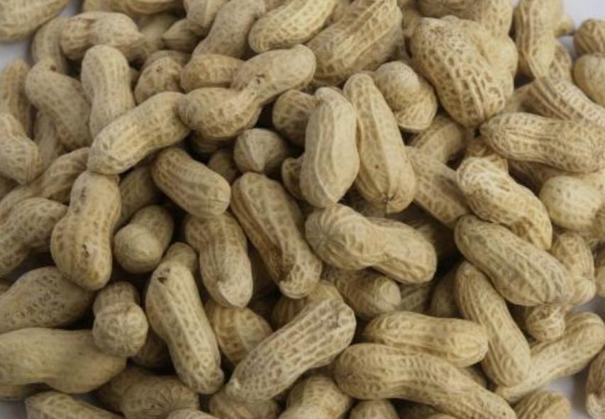 孕吐太厉害应该说什么安慰孕妇,孕吐太难受该怎么办