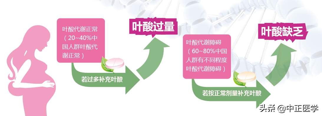 孕妇叶酸和老人叶酸有什么区别,叶酸分孕妇叶酸和普通叶酸吗