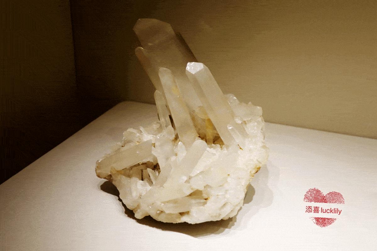 高铁出游攻略江浙沪,高铁直达的周末游