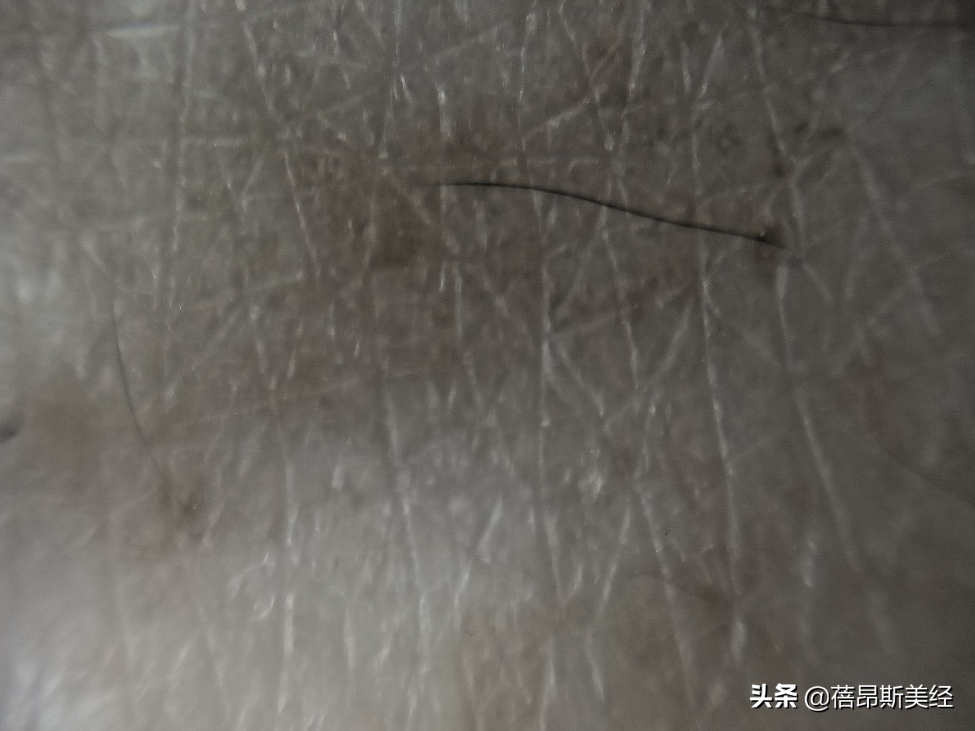 神仙水推荐韩国,补水保湿神仙水哪个好用