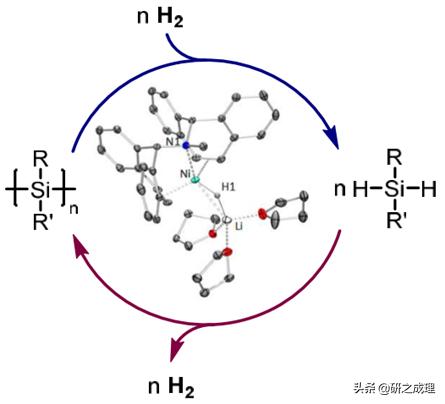 鍌寲蹇姤鏈熷垔,鍌寲鏉傚織灏侀潰