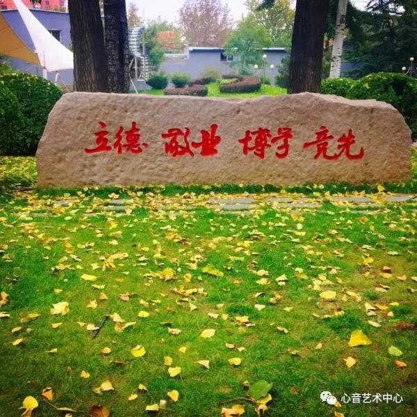 每日高校｜中国传媒大学