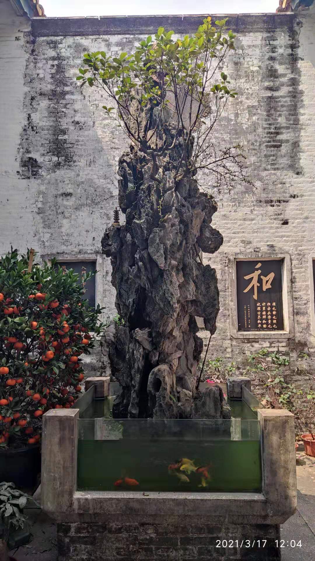 走访“平地黄”,睇大宗祠“花堂”