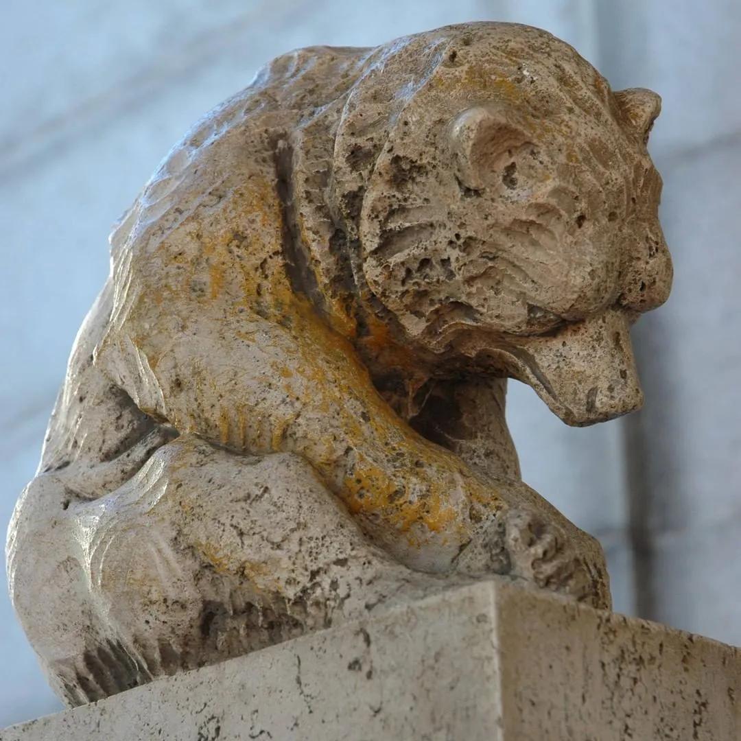 美国10所顶尖大学,美国有名十所大学