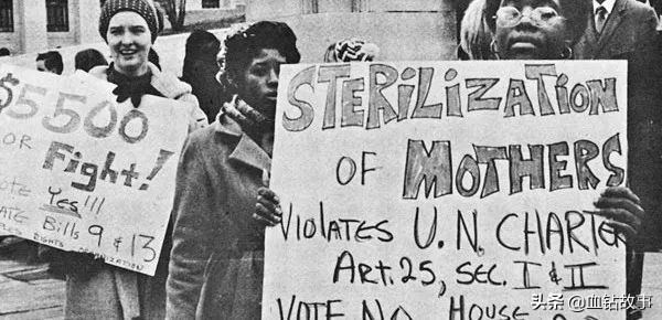 大洋彼岸的“子宫掠夺者”