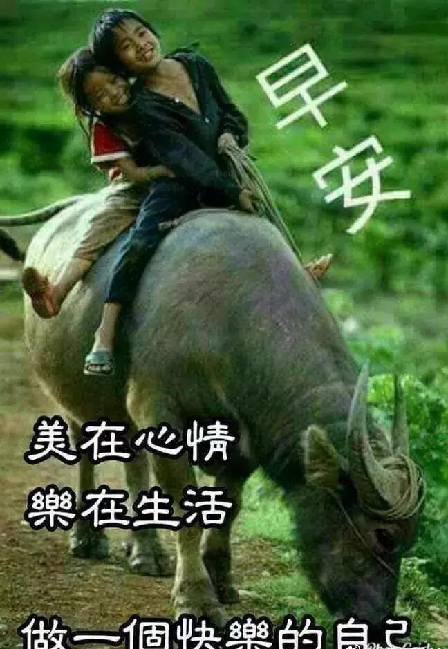 清晨的第一声问候送给你,清晨的第一声问候送给最想念的你