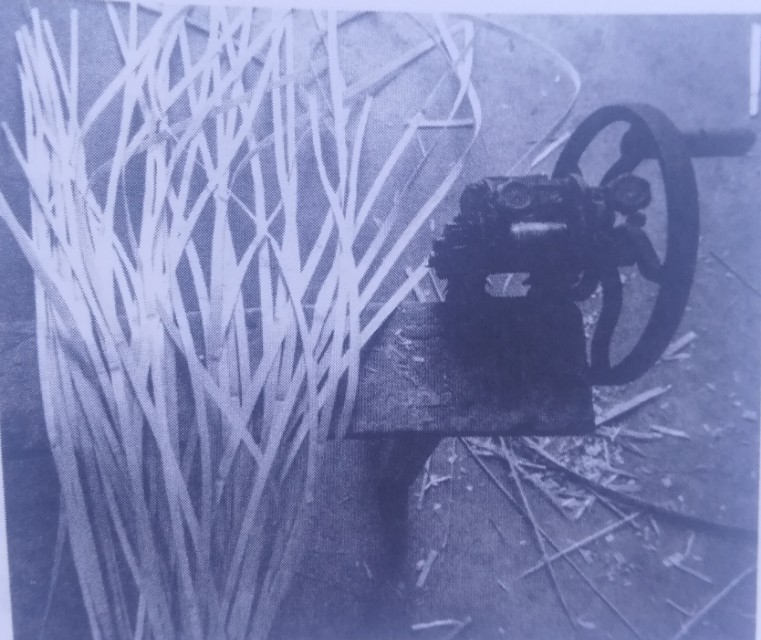 「云梦人物」篾匠褚红刚：跳跃在指间的舞蹈