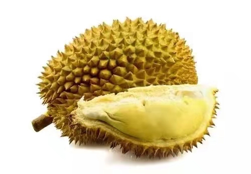 榴莲是不是热带水果之王,热带水果榴莲视频