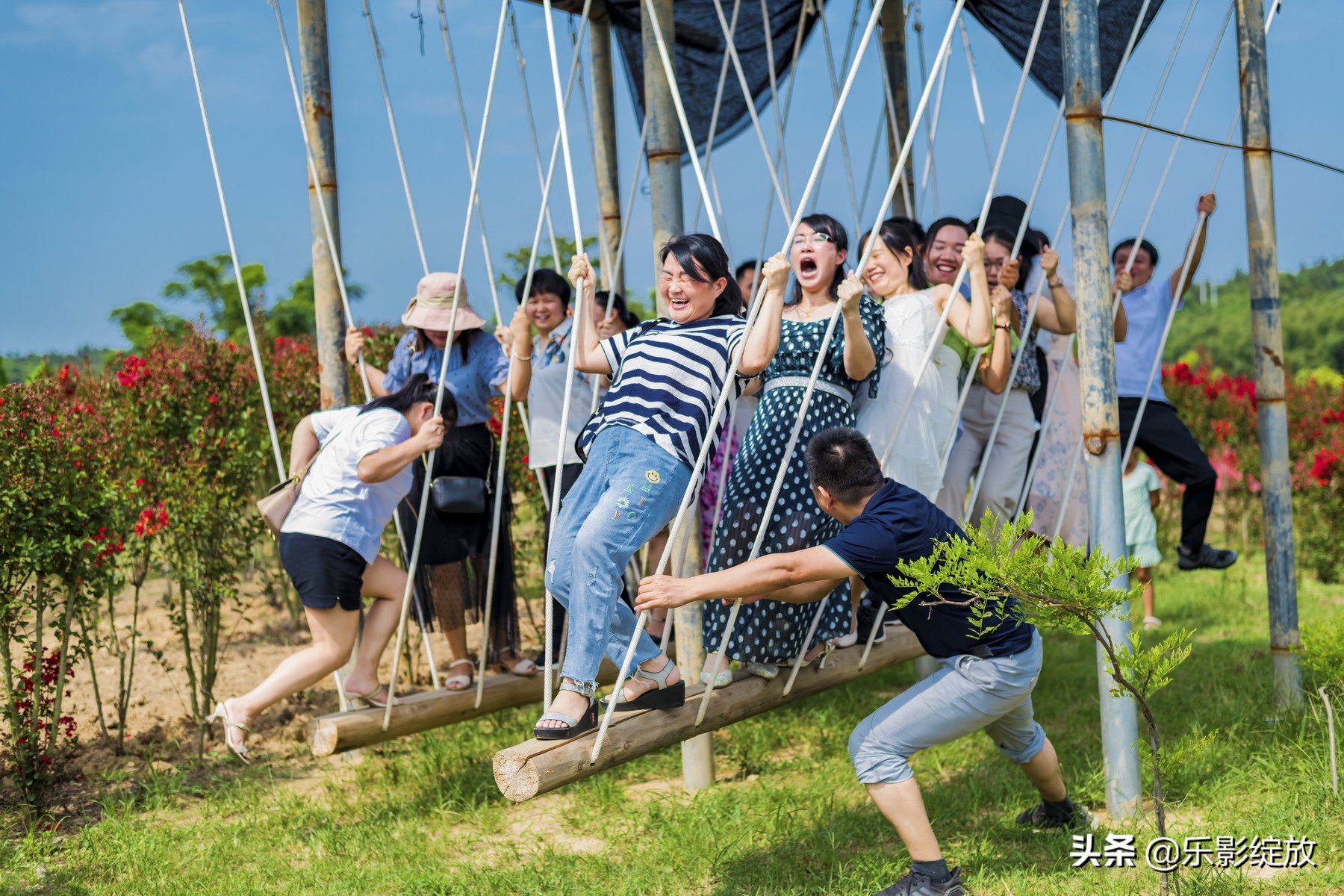 二十年相聚完整版,二十年再聚首