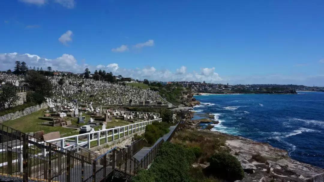 你来自泥土，又必将回归泥土。