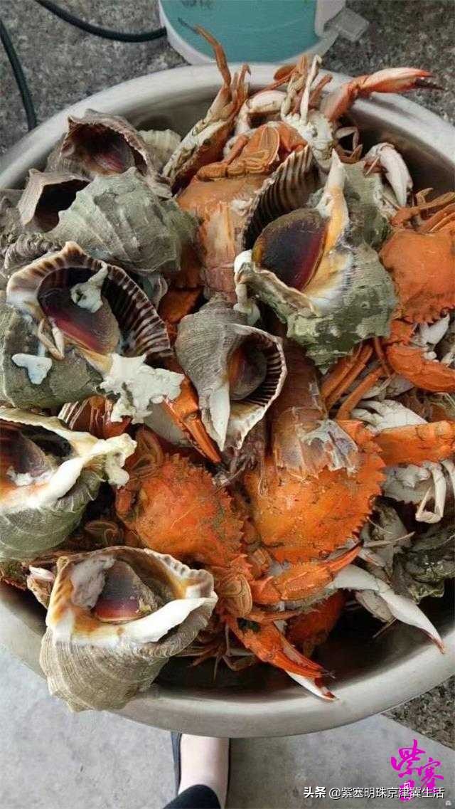 韩姐在乐亭农家最新视频,唐山乐亭韩姐农家院电话