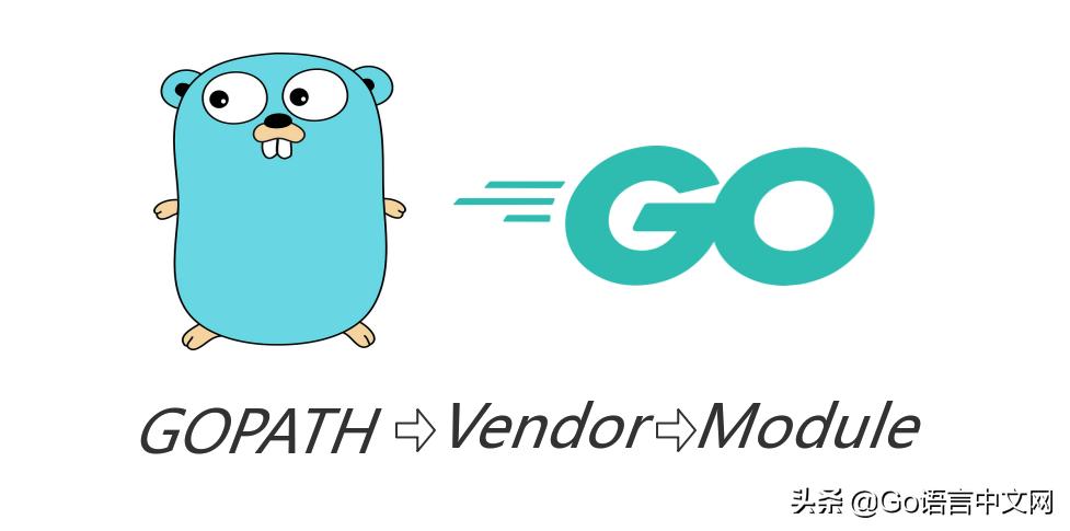 go语言从零开始学,go语言第9课