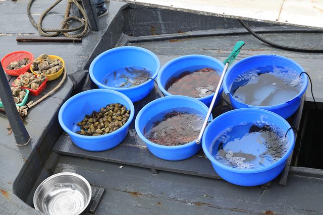 这里虽然风景如画人们生活的却很凄惨没日没夜的追着大船讨生活