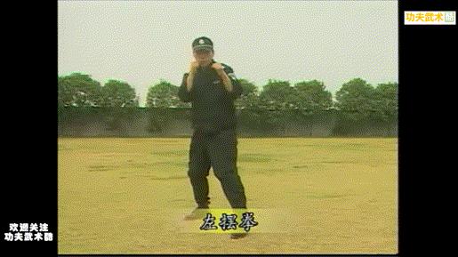 中国特警格斗详细教学视频,特警拳教学视频