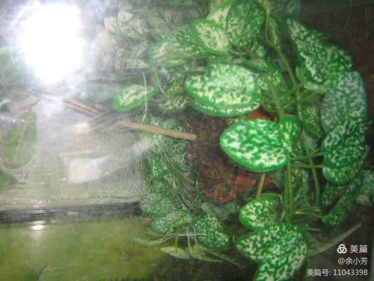 上海昆虫馆,上海昆虫博物馆研学