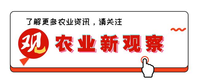 最受欢迎的三大品牌,市场认可度高质量可靠