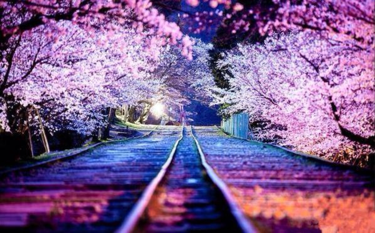 日本生活中的设计感,日本日常生活中的小设计